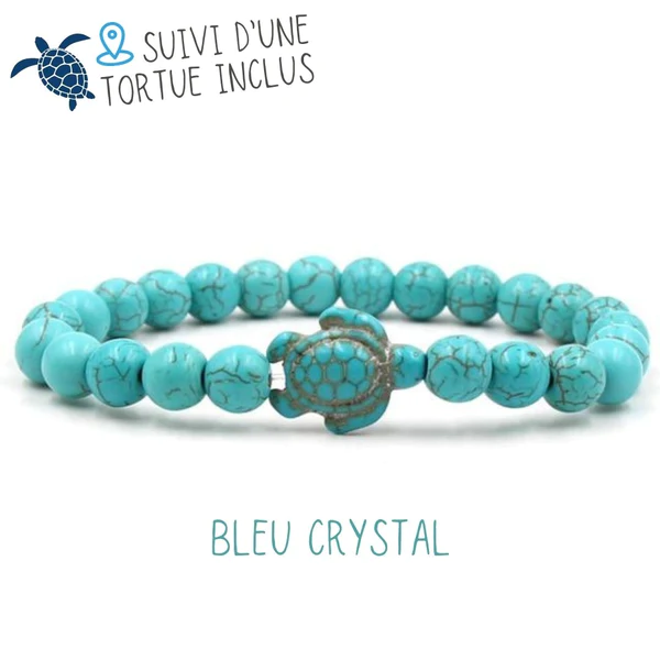 Bracelet de suivi Tortue